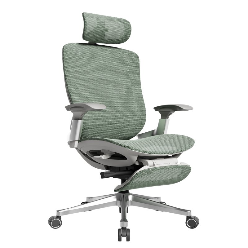 Executive Ergonomic Office Chair